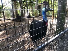 -费瑟代尔野生动物园