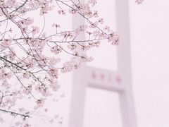 -上海南浦大桥长途旅游客运站