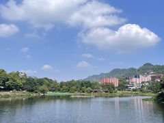 -南山植物园