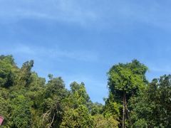 -槟城植物园