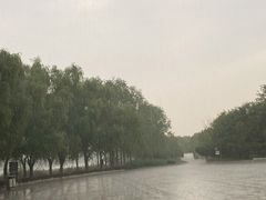 -塘沽森林公园