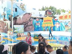 -海合安成都极地海洋公园