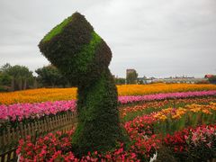 -荷兰花海