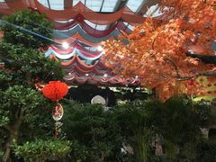 -君临七星生态酒店