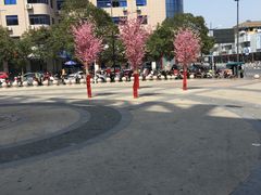 -五洲国际广场(文峰路店)