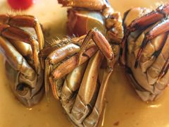 -顶特勒·黄鱼馆·特色菜(上海大世界店)