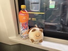 -北京西站(地铁站)