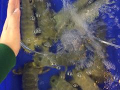 -幸福姐海鲜大排档