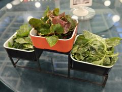 -天毓山庄·餐厅