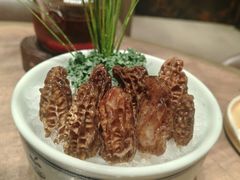 -蘑界·野生菌火锅(深业上城店)