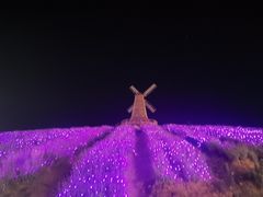 -大塘金香草谷