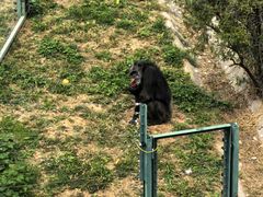 -石家庄市动物园