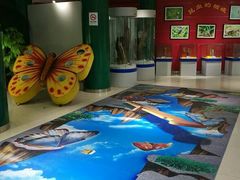 -上海昆虫博物馆