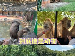 -杭州野生动物世界