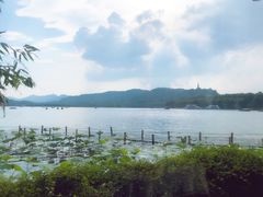 -湖畔居茶楼(湖滨店)