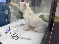 -全心全意动物诊疗中心医院(北苑店)