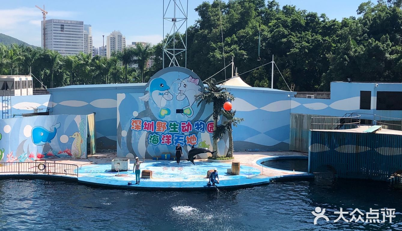 呼吸着富含氧气的干净空气，吹着树林的风