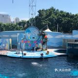 呼吸着富含氧气的干净空气，吹着树林的风