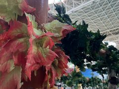 -天山海世界·米立方