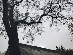 -白云观