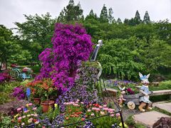 -苏州上方山国家森林公园