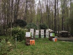 -林间山庄