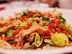 -壹盏灯(惠农店)