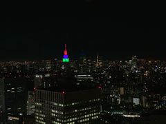 -东京都厅舍