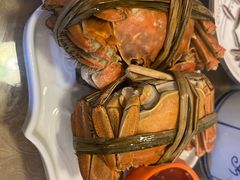 -水岸居湖景农家乐·阳澄湖大闸蟹