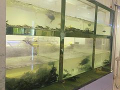 -小乡小镇·传承桐庐土菜·老板亲自烧的菜