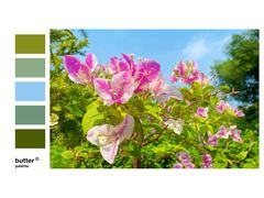 -莆田湄洲妈祖祖庙