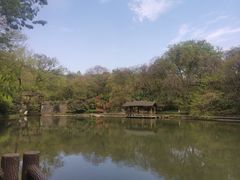 -善卷洞风景区