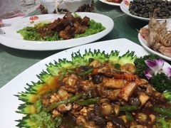 -添福来墨鱼饺子 · 海鲜东北菜(泡崖店)
