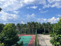 -华林禅寺