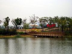 -新江湾城公园