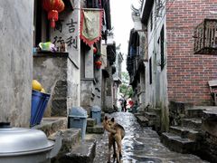 -上甘棠村