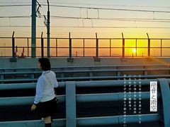 -海堤纪念公园