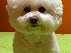 -乐琪宠物(青塔西路店)