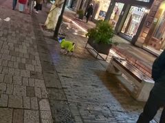 -鼓楼(西湖风景名胜区)