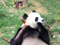 -泉州海丝野生动物世界