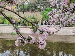 -海棠花溪(元大都城垣遗址公园)