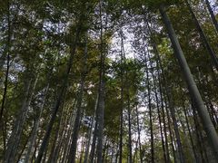 -杭州上天竺法喜讲寺