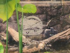 -谷咖啡·鲜花绿植花园餐厅