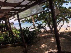 -卷心菜和避孕套餐厅(Pattaya)