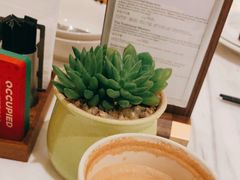 -上海虹桥祥源希尔顿酒店