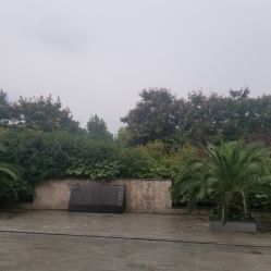 点击看大图 -禾丽康美医疗美容医院