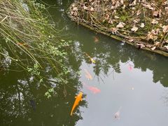 -成都杜甫草堂博物馆