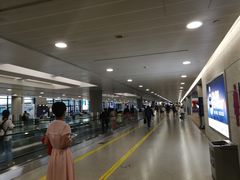 -上海浦东国际机场-T2航站楼