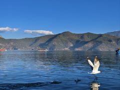 -丽江泸沽湖景区