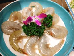 -青瓷火锅料理(西单大悦城店)